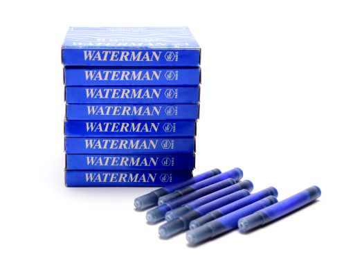 Vintage NOS (For Older Waterman Pens) WATERMAN Specific CF Style Original  Made in France FLORIDA ROYAL