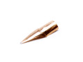 Pelikan M30 30 Rolled Gold Fountain Pen & Mechanical Pencil Set
