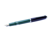 REFORM 4383 ROUND GREEN & BLACK 14K GOLD FULLY FLEXIBLE F to BB NIB FOUNTAIN PEN