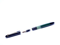 Rare 1970s SENATOR 0140 (Merz & Krell) F Fine Fully Flexible F to 3B 14K Nib Fountain Pen