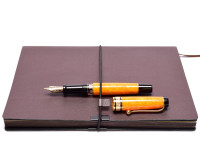 Beautiful Vintage Aurora SOLE Optima Limited Edition Yellow/Amber Orange Marble 14K Gold M Medium Nib Piston Fountain Pen