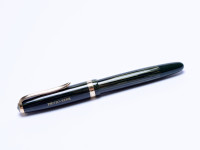 Faber Castell Osmia 884 F Tortoise Green Celluloid Fountain Pen