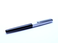 Pelikan Silvexa P20 Fountain Pen