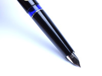 Pelikan Silvexa 21 (M21) 14K White Gold EF Nib Fountain Pen