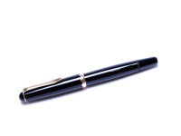  MONTBLANC 042 Monte Rosa fountain Pen