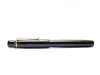 1930s Dutch UNION GENIE 19500 Push Button Bladder Fountain Pen