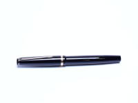 The Lost Brand of REX EMI-101 by TOZ Croatia - Super Flexible EF to BBB 14K Nib Piston Fountain Pen