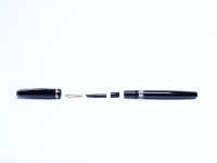 The Lost Brand of REX EMI-101 by TOZ Croatia - Super Flexible EF to BBB 14K Nib Piston Fountain Pen