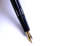 Flexible fountain pen nib