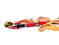 1994 Limited Edition Coral/Marble 1858/7500 Red Aurora Optima 75 Year Anniversary Edition 18K M Nib Fountain Pen