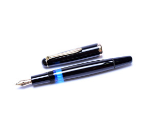 Classic 1953 MONTBLANC 042 (342) Monte Rosa Flexible 14K Gold F Fine Nib Fountain Pen